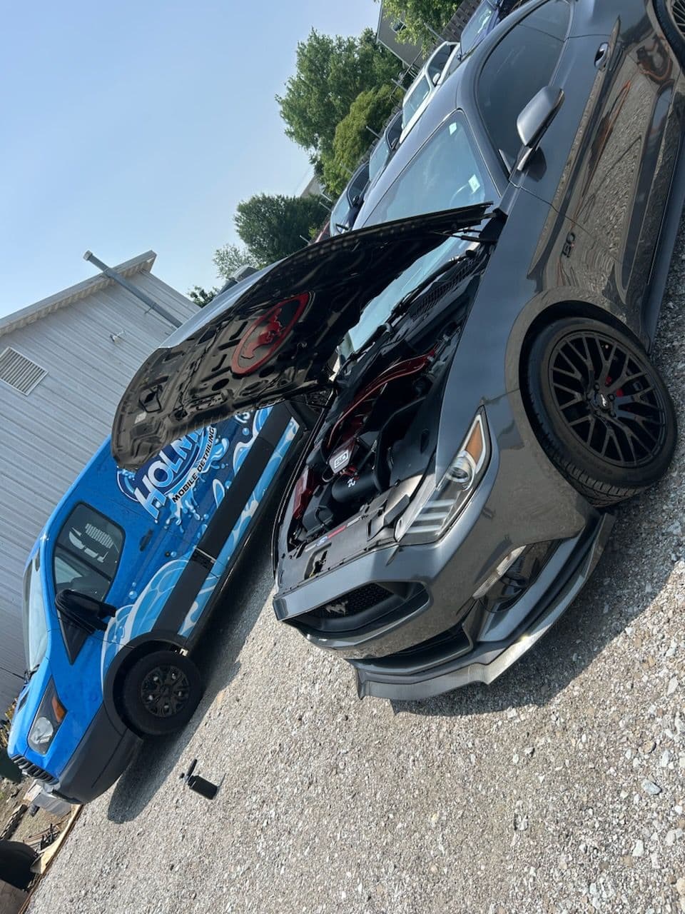 Holmes Mobile Detailing Showcases Stunning Mustang image